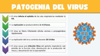 Biological Hazards Epidemics and Pandemics Presentation.pdf