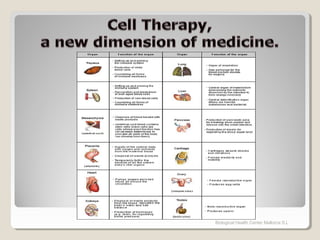Biological Health Center Mallorca S.L
 