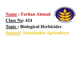 Name : Farhan Ahmad
Class No: 424
Topic : Biological Herbicides
Subject: Sustainable Agriculture
 