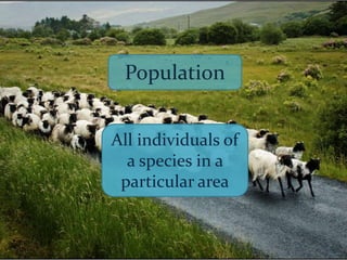 Population
All individuals of
a species in a
particular area

 