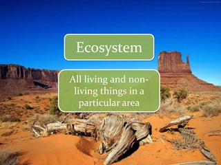 Ecosystem
All living and nonliving things in a
particular area

 