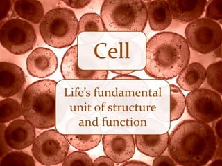 Cell
Life’s fundamental
unit of structure
and function

 