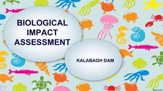 BIOLOGICAL
IMPACT
ASSESSMENT
KALABAGH DAM
 