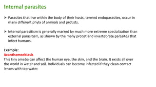  Parasites that live within the body of their hosts, termed endoparasites, occur in
many different phyla of animals and protists.
 Internal parasitism is generally marked by much more extreme specialization than
external parasitism, as shown by the many protist and invertebrate parasites that
infect humans.
Example:
Acanthamoebiasis
This tiny ameba can affect the human eye, the skin, and the brain. It exists all over
the world in water and soil. Individuals can become infected if they clean contact
lenses with tap water.
 