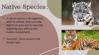 Biological Invasion by; Sania shandil | PDF