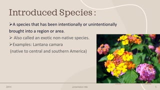 Biological Invasion by; Sania shandil | PDF