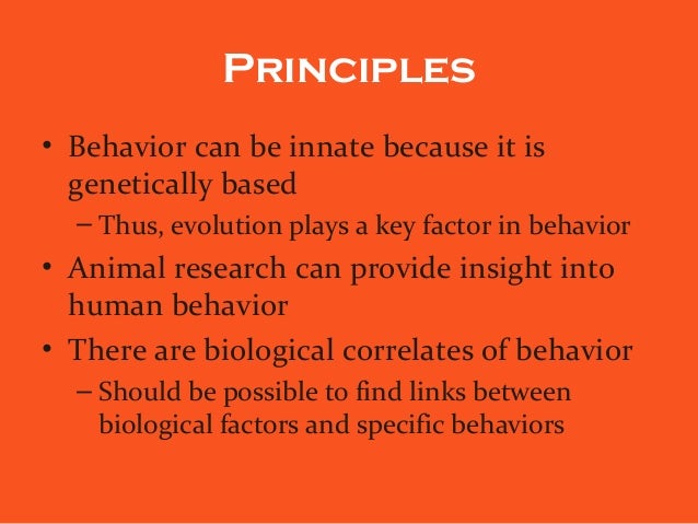 biological influences on the memory Overview of the biological approach in psychology, including differentiation from other approaches and evaluation. biological influences on the memory Overview of the biological approach in psychology, including differentiation from other approaches and evaluation.