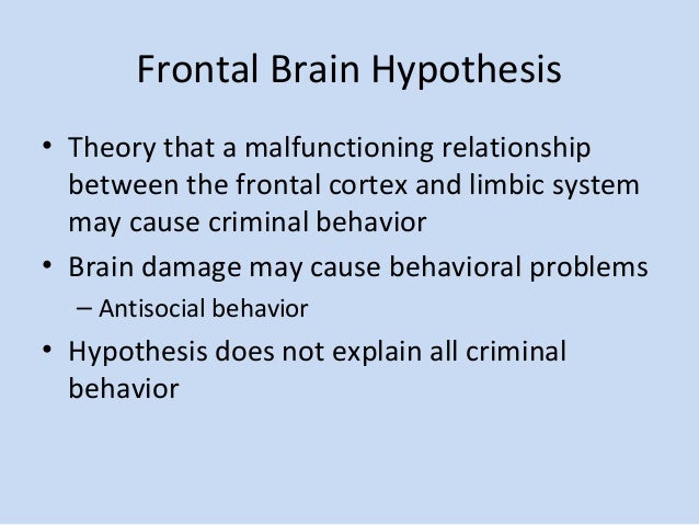 analyzing the theories that explains the behaviors of a career criminal Video analysis video redaction software 6 traits that lead to criminal behavior john began his career in 1998 working in the probation field in massachusetts he relocated to the state of . analyzing the theories that explains the behaviors of a career criminal Video analysis video redaction software 6 traits that lead to criminal behavior john began his career in 1998 working in the probation field in massachusetts he relocated to the state of .
