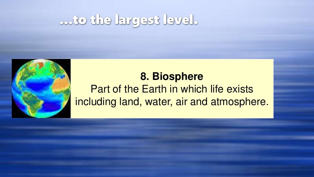 Biological levels of organization for Grade 7