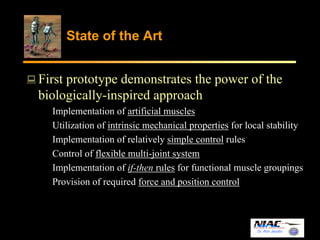 Dr. Ron Jacobs 
State of the Art 
First prototype demonstrates the power of the 
biologically-inspired approach 
Implementation of artificial muscles 
Utilization of intrinsic mechanical properties for local stability 
Implementation of relatively simple control rules 
Control of flexible multi-joint system 
Implementation of if-then rules for functional muscle groupings 
Provision of required force and position control 
 