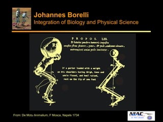 Johannes Borelli 
Integration of Biology and Physical Science 
Dr. Ron Jacobs 
From: De Motu Animalium, F Mosca, Napels 1734 
 