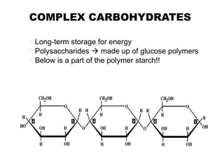 COMPLEX CARBOHYDRATES
Long-term storage for energy
Polysaccharides  made up of glucose polymers
Below is a part of the polymer starch!!
 