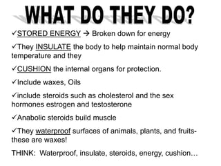 STORED ENERGY  Broken down for energy
They INSULATE the body to help maintain normal body
temperature and they
CUSHION the internal organs for protection.
Include waxes, Oils
include steroids such as cholesterol and the sex
hormones estrogen and testosterone
Anabolic steroids build muscle
They waterproof surfaces of animals, plants, and fruits-
these are waxes!
THINK: Waterproof, insulate, steroids, energy, cushion…
 