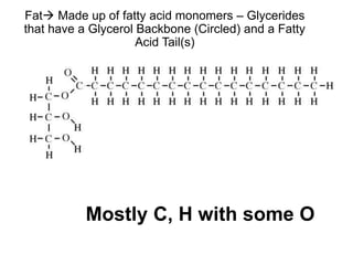 Fat Made up of fatty acid monomers – Glycerides
that have a Glycerol Backbone (Circled) and a Fatty
Acid Tail(s)
Mostly C, H with some O
 