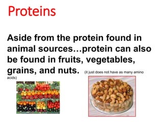 Proteins
Aside from the protein found in
animal sources…protein can also
be found in fruits, vegetables,
grains, and nuts. (it just does not have as many amino
acids)
 