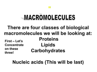 There are four classes of biological
macromolecules we will be looking at:
Proteins
Lipids
Carbohydrates
Nucleic acids (This will be last)
First – Let’s
Concentrate
on these
three!
 