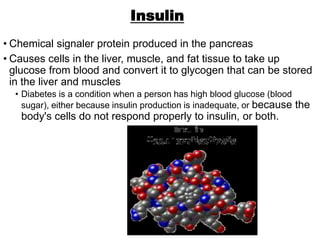 Insulin
• Chemical signaler protein produced in the pancreas
• Causes cells in the liver, muscle, and fat tissue to take up
glucose from blood and convert it to glycogen that can be stored
in the liver and muscles
• Diabetes is a condition when a person has high blood glucose (blood
sugar), either because insulin production is inadequate, or because the
body's cells do not respond properly to insulin, or both.
 