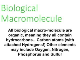 Biological
Macromolecule
All biological macro-molecule are
organic, meaning they all contain
hydrocarbons…Carbon atoms (with
attached Hydrogens!) Other elements
may include Oxygen, Nitrogen,
Phosphorus and Sulfur
 
