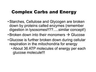 Complex Carbs and Energy
•Starches, Cellulose and Glycogen are broken
down by proteins called enzymes (remember
digestion in lysosomes!!??.....similar concept!)
•Broken down into their monomers  Glucose
•Glucose is further broken down during cellular
respiration in the mitochondria for energy
•About 36 ATP molecules of energy per each
glucose molecule!!!
 