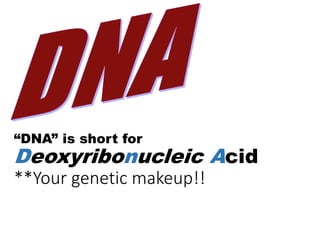“DNA” is short for
Deoxyribonucleic Acid
**Your genetic makeup!!
 