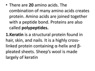 • There are 20 amino acids. The
combination of many amino acids creates
protein. Amino acids are joined together
with a peptide bond. Proteins are also
called polypeptides.
1.Keratin is a structural protein found in
hair, skin, and nails. It is a highly cross-
linked protein containing α-helix and β-
pleated sheets. Sheep’s wool is made
largely of keratin
 
