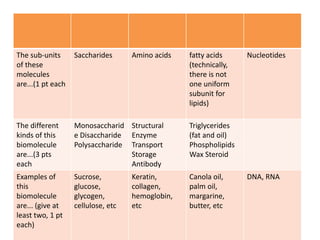 Biological Macromolecules.pptx