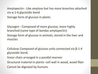 Amylopectin - Like amylose but has more branches attached
via α-1-6 glycosidic bond
Storage form of glucose in plants
Glycogen - Composed of more glucose, more highly
branched (same type of bondas amylopectin)
Storage form of glucose in animals, stored in the liver and
muscles
Cellulose Composed of glucose units connected via β-1-4
glycosidic bond,
linear chain arranged in a parallel manner
Structural material in plants--cell wall in wood, wood fiber
Cannot be digested by humans
 