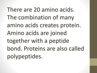 There are 20 amino acids.
The combination of many
amino acids creates protein.
Amino acids are joined
together with a peptide
bond. Proteins are also called
polypeptides.
 