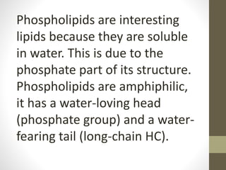 Phospholipids are interesting
lipids because they are soluble
in water. This is due to the
phosphate part of its structure.
Phospholipids are amphiphilic,
it has a water-loving head
(phosphate group) and a water-
fearing tail (long-chain HC).
 