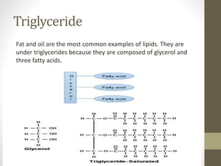 Triglyceride
Fat and oil are the most common examples of lipids. They are
under triglycerides because they are composed of glycerol and
three fatty acids.
 