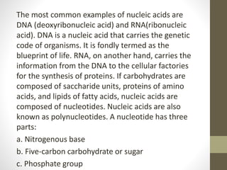 The most common examples of nucleic acids are
DNA (deoxyribonucleic acid) and RNA(ribonucleic
acid). DNA is a nucleic acid that carries the genetic
code of organisms. It is fondly termed as the
blueprint of life. RNA, on another hand, carries the
information from the DNA to the cellular factories
for the synthesis of proteins. If carbohydrates are
composed of saccharide units, proteins of amino
acids, and lipids of fatty acids, nucleic acids are
composed of nucleotides. Nucleic acids are also
known as polynucleotides. A nucleotide has three
parts:
a. Nitrogenous base
b. Five-carbon carbohydrate or sugar
c. Phosphate group
 