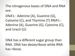 The nitrogenous bases of DNA and RNA
are:
DNA’s : Adenine (A), Guanine (G),
Cytosine (C), and Thymine (T) RNA’s :
Adenine (A), Guanine (G), Cytosine (C),
and Uracil (U)
DNA has a different sugar group than
RNA. DNA has deoxyribose while RNA
has ribose.
 