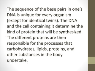 The sequence of the base pairs in one’s
DNA is unique for every organism
(except for identical twins). The DNA
and the cell containing it determine the
kind of protein that will be synthesized.
The different proteins are then
responsible for the processes that
carbohydrates, lipids, proteins, and
other substances in the body
undertake.
 