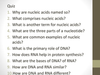 Quiz
1. Why are nucleic acids named so?
2. What comprises nucleic acids?
3. What is another term for nucleic acids?
4. What are the three parts of a nucleotide?
5. What are common examples of nucleic
acids?
6. What is the primary role of DNA?
7. How does RNA help in protein synthesis?
8. What are the bases of DNA? of RNA?
9. How are DNA and RNA similar?
10.How are DNA and RNA different?
 