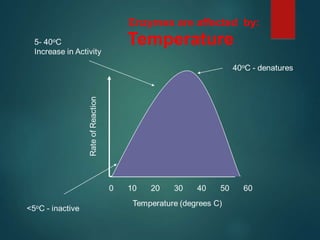 Enzymes are affected by:
 
