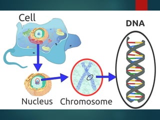 Biological Macromolecules in general biology | PPT