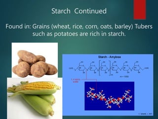 Starch Continued
Found in: Grains (wheat, rice, corn, oats, barley) Tubers
such as potatoes are rich in starch.
 