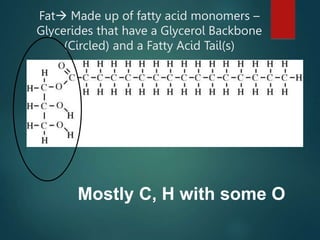Fat Made up of fatty acid monomers –
Glycerides that have a Glycerol Backbone
(Circled) and a Fatty Acid Tail(s)
Mostly C, H with some O
 