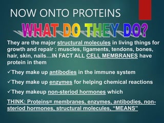 NOW ONTO PROTEINS
They are the major structural molecules in living things for
growth and repair : muscles, ligaments, tendons, bones,
hair, skin, nails…IN FACT ALL CELL MEMBRANES have
protein in them
They make up antibodies in the immune system
They make up enzymes for helping chemical reactions
They makeup non-steriod hormones which
THINK: Proteins= membranes, enzymes, antibodies, non-
steriod hormones, structural molecules, “MEANS”
 
