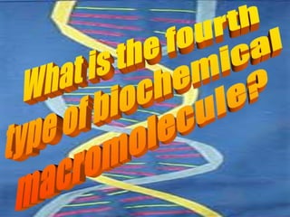Biological Macromolecules 2015 (1).ppt