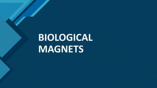 Click to edit Master title style
1
BIOLOGICAL
MAGNETS
 