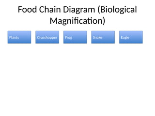 Understanding Biological Magnification: Impact of Toxins in Food Chains ...