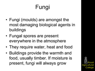 Fungi

• Fungi (moulds) are amongst the
  most damaging biological agents in
  buildings
• Fungal spores are present
  everywhere in the atmosphere
• They require water, heat and food
• Buildings provide the warmth and
  food, usually timber. If moisture is
                                              Royal
  present, fungi will always grow        Agricultural
                                            College
 