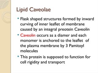 cell membranes and their structure and function | PPTX