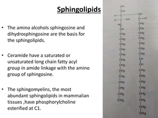 Sphingolipids
• The amino alcohols sphingosine and
dihydrosphingosine are the basis for
the sphingolipids.
• Ceramide have a saturated or
unsaturated long chain fatty acyl
group in amide linkage with the amino
group of sphingosine.
• The sphingomyelins, the most
abundant sphingolipids in mammalian
tissues ,have phosphorylcholine
esterified at C1.
 