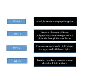TYPE-3 Multiple trends in single polypeptide.
TYPE-4
Consists of several different
polypeptides assemble together in a
channels through the membrane.
TYPE-5
Proteins are anchored to lipid bilayer
through covalently linked lipids.
Type-6 Proteins have both transmembrane
domains & lipid anchors.
 