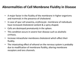 Abnormalities of Cell Membrane Fluidity in Disease
• A major factor in the fluidity of the membrane in higher organisms
and mammals in the presence of cholesterol.
• In case of spur cell anaemia, erythrocyte membrane of individuals
have increased cholesterol content & a spiny shaped.
• Cells are destroyed prematurely in the spleen.
• This condition occurs in severe liver disease such as alcoholic
cirrhosis.
• Increase intracellular membrane cholesterol which affect their
fluidity.
• The intoxicating effect of ethanol on the nervous system is probably
due to modification of membrane fluidity, altering membrane
receptors and ions channels.
 
