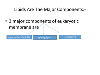 Lipids Are The Major Components:-
• 3 major components of eukaryotic
membrane are
glycerophospholipids sphingolipids cholesterol
 