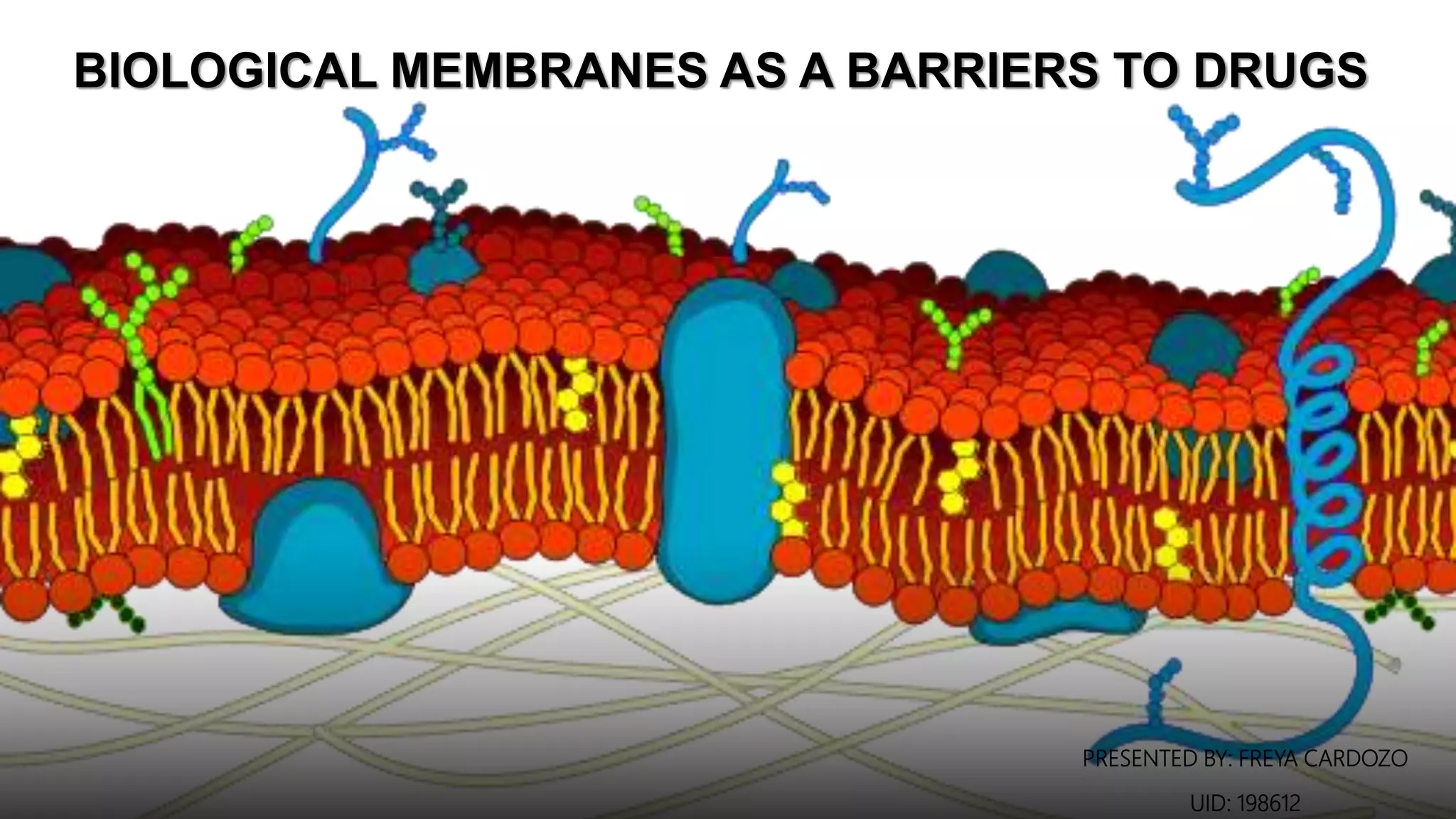 Biological membranes as a barriers to drugs(pH trapping) PPT