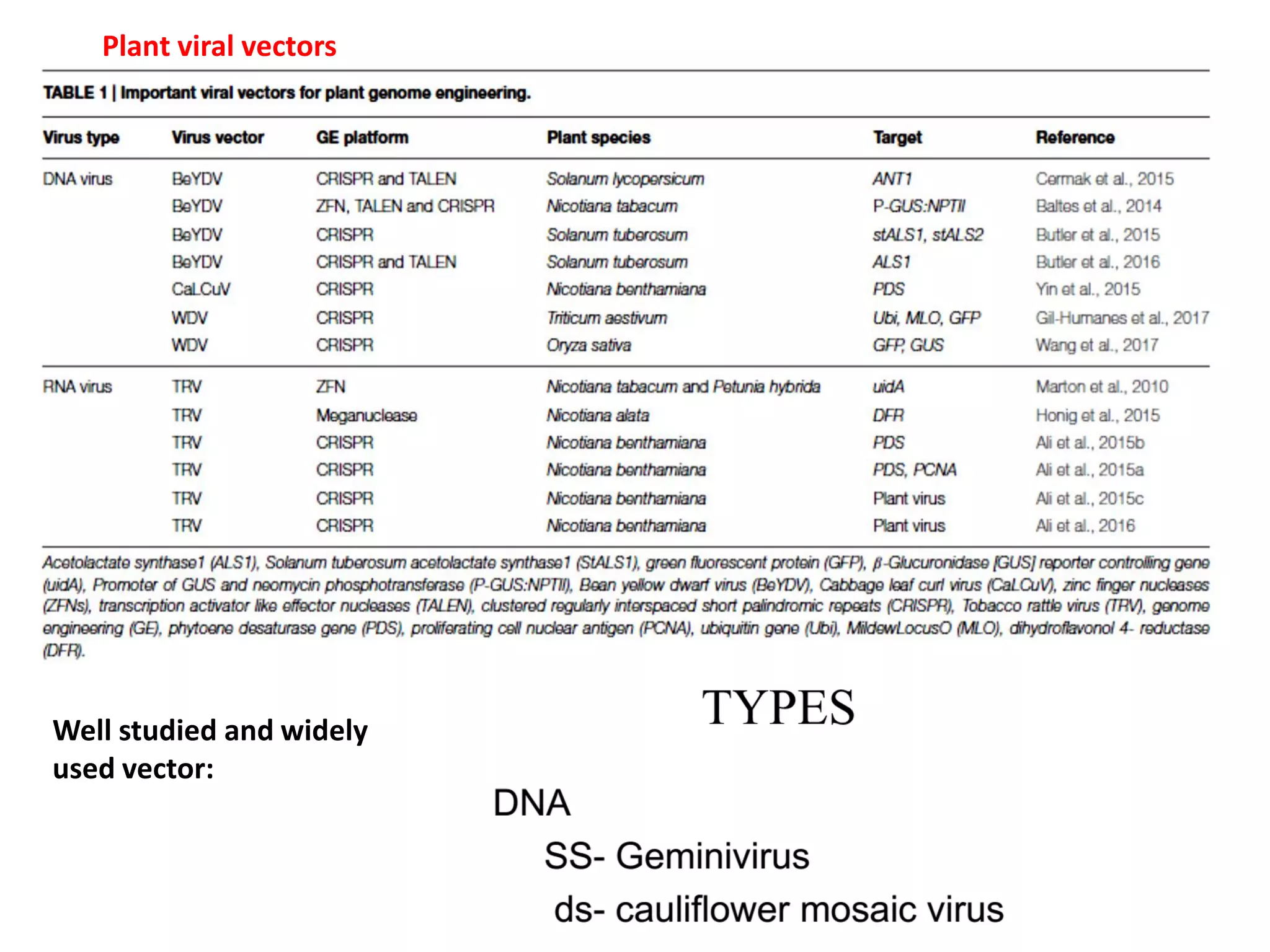 Plant viral vectors
Well studied and widely
used vector:
 